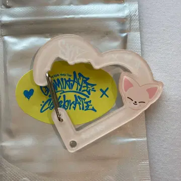 Straykids 아이엔 카라비너