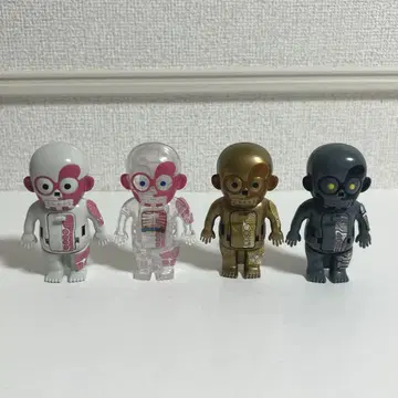 두근두근 인체 모형 mini 4종 세트