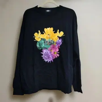프로세카 ZOZOTOWN 콜라보