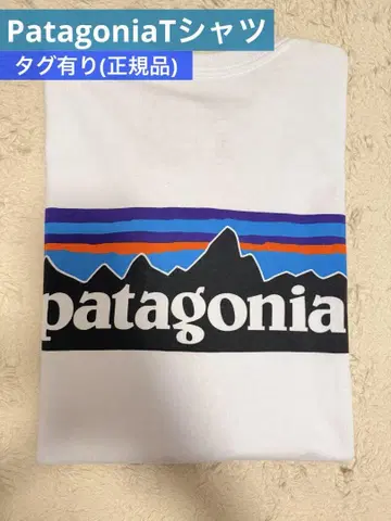 Patagonia T셔츠
