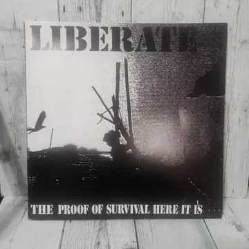 LIBERATE 레코드 하드코어 펑크 90년대