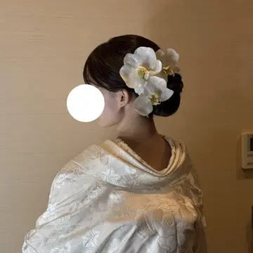 팔레놉시스 머리 장식 결혼식