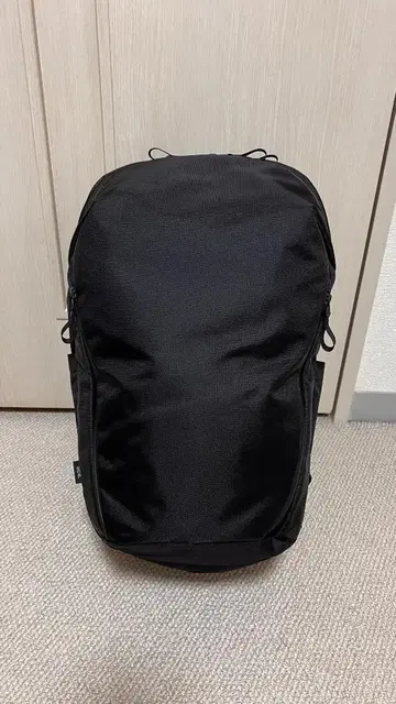 ace. 에이스 러그 마스터 백팩 67813