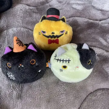할로윈 고양이 뭉치 세트