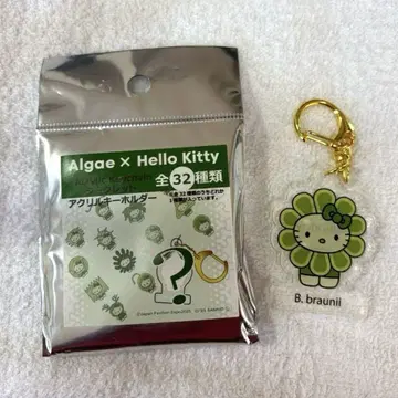 EXPO2025 오사카 만박 일본관 조류 키티 키링 B. braunii