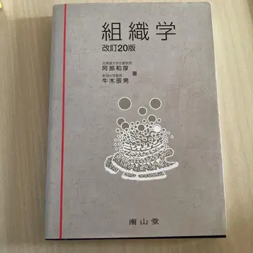 조직학