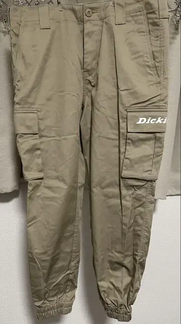 [ Dickies ] 카고 팬츠