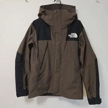 THE NORTH FACE NP61800 마운틴 후드티 L