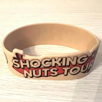 러버 밴드 SHOCKING NUTS TOUR 히게단 히게단 라바밴