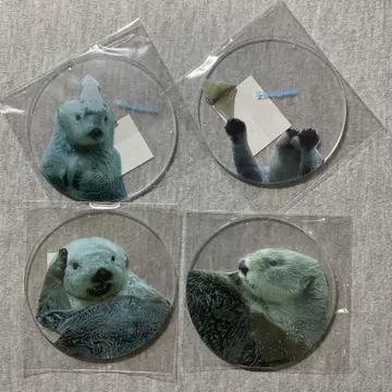 도바 수족관 메이 키라 코스터 x 4