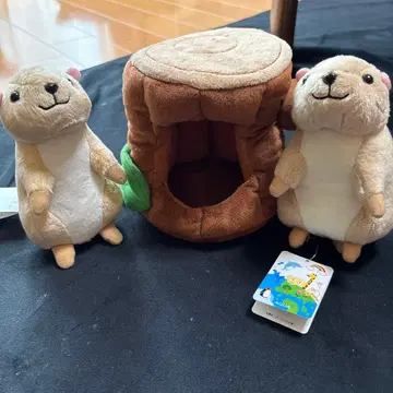 AQUA 봉제 인형