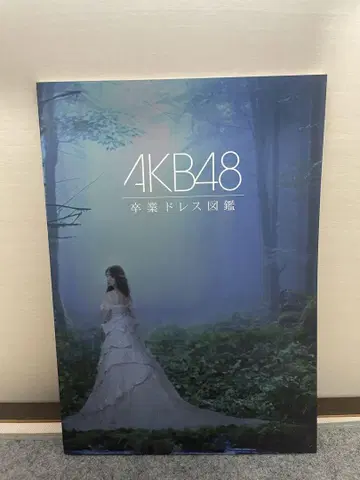 AKB48 대 의상전 졸업 드레스 도감