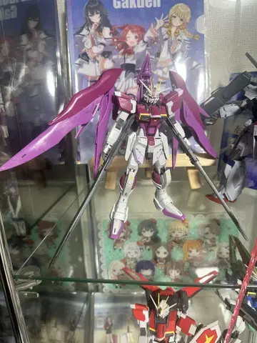 MG 1/100 데스티니 임펄스 건담 R (리제네스)