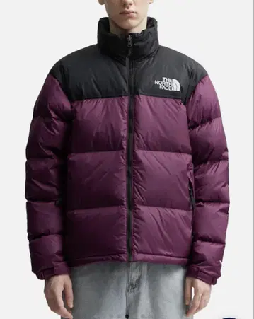 THE NORTH FACE 눕시 자켓 700 보이젠베리