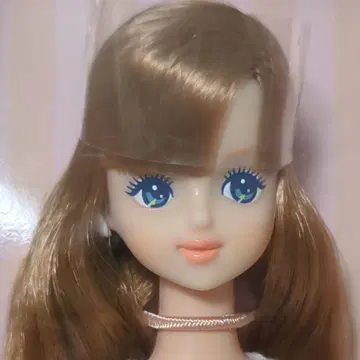 2024년 1월 DS71 모델 제니 프렌드-H1 리카짱 캐슬