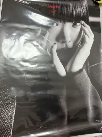 아이나 더 엔드 포스터