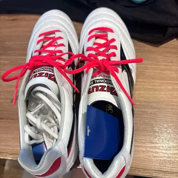 Mizuno Morelia 26.5