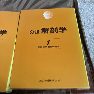 분담 해부학 1