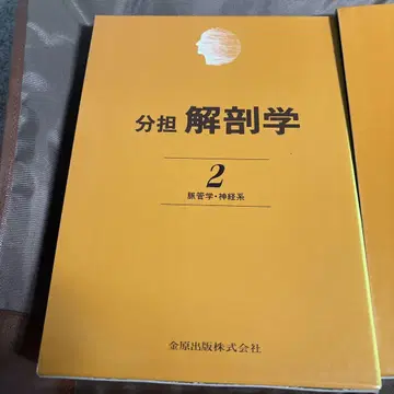 분담 해부학 2
