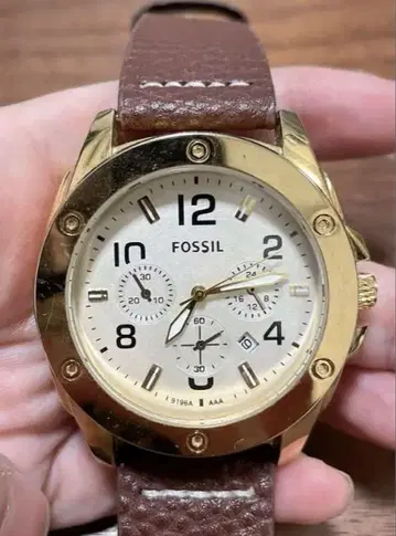 FOSSIL 골드 케이스 아날로그 손목시계