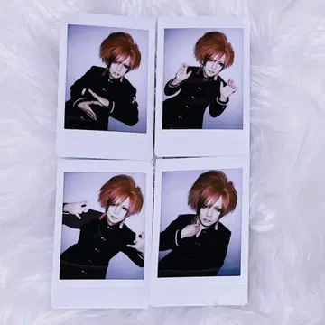 R지정 Z 가이센 후쿠오카 폴라로이드