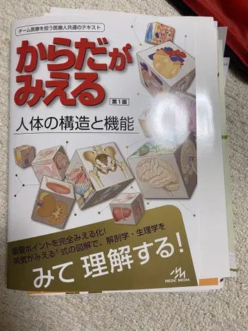 몸이 보이는 인체의 구조와 기능 제1판