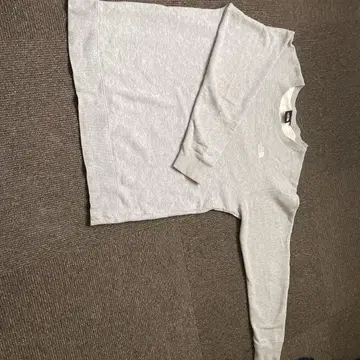 THE NORTH FACE 그레이 XL 롱T