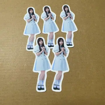 노기자카46 신참자 스티커 5개 세트 낱개 판매 불가 모리히라 레이신