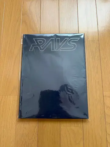 RAYS Snow Man 팜플렛 미개봉