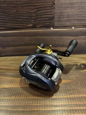 질리언 svtw 노멀 기어