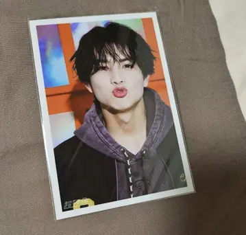 초특급 하루 브로마이드 B9 후쿠오카