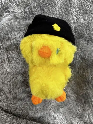 straykids Felix 사진에 있는 것만 봉제 인형