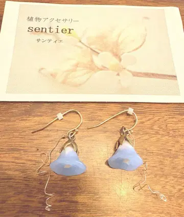 sentier 나팔꽃 링 귀걸이 나팔꽃