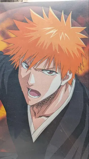 BLEACH 브로마이드 컬렉션 파일