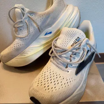 브룩스 글리세린 맥스 BROOKS glycerin Max 27cm