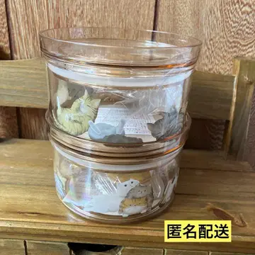 KALDI 칼디 고양이 밖에서 보이는 서클 컨테이너 냐 2개 세트