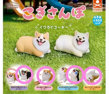 코기 산책 캡슐 토이 4종 총 6점