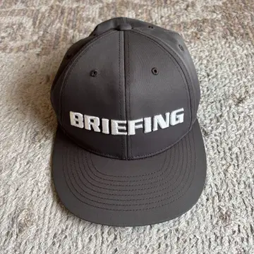 BRIEFING 캡