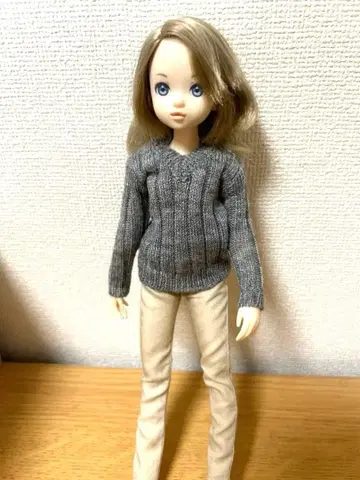 동경하는 너 ruruko boy pet works 루루코 반려동물 웍스