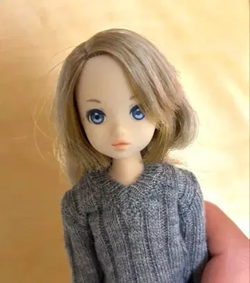 동경하는 너 ruruko boy pet works 루루코 반려동물 웍스