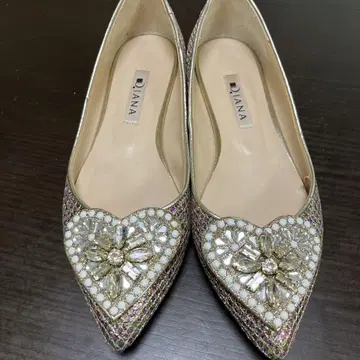 Diana 비쥬 장식 스틸레토 펌프스 23cm