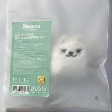 TXT PPULBATU 페이스 키링 연준