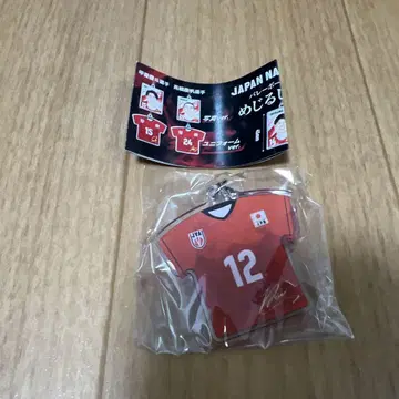 남자 배구 일본 대표 메지루시 참 타카하시 란