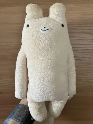 후모후모상 토라라 L 사이즈 시나다 봉제 인형 고양이