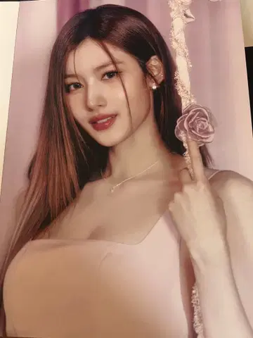 사나 포스터