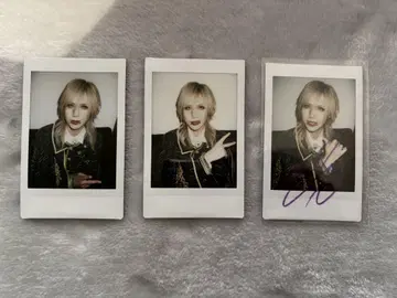 Royz  폴라로이드