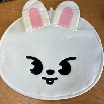 스키즈 부채 케이스