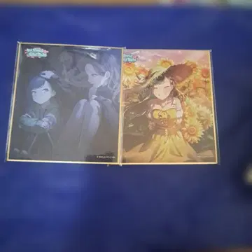 프로세카 색지 시로이시 안즈 세트