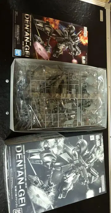 RE 1/100 데난 게