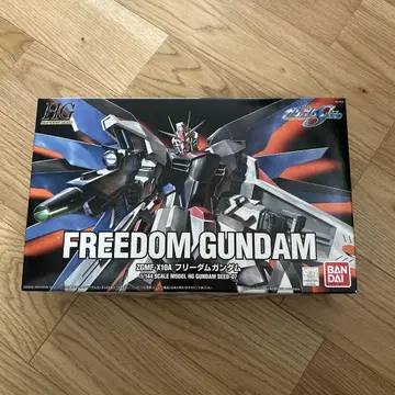 HG 1/144 프리덤 건담
